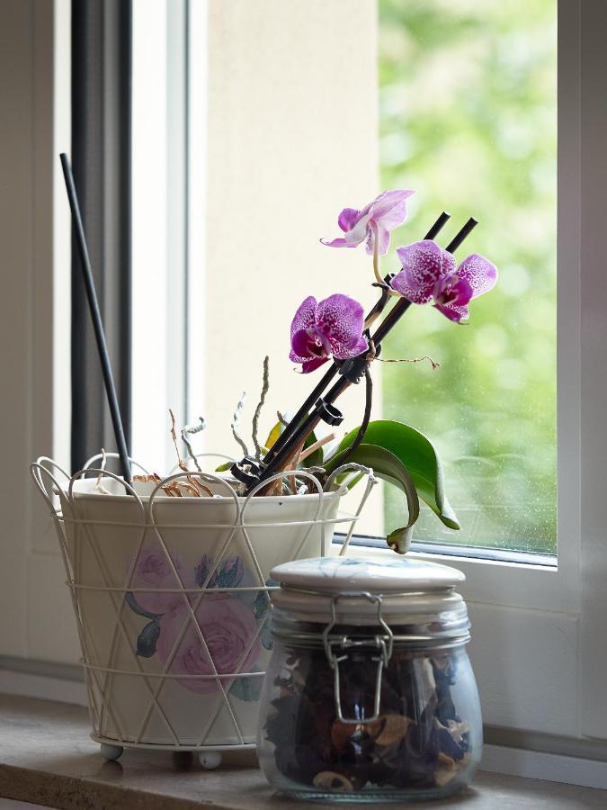 Haus Bley Apartment Wittlich Bagian luar foto